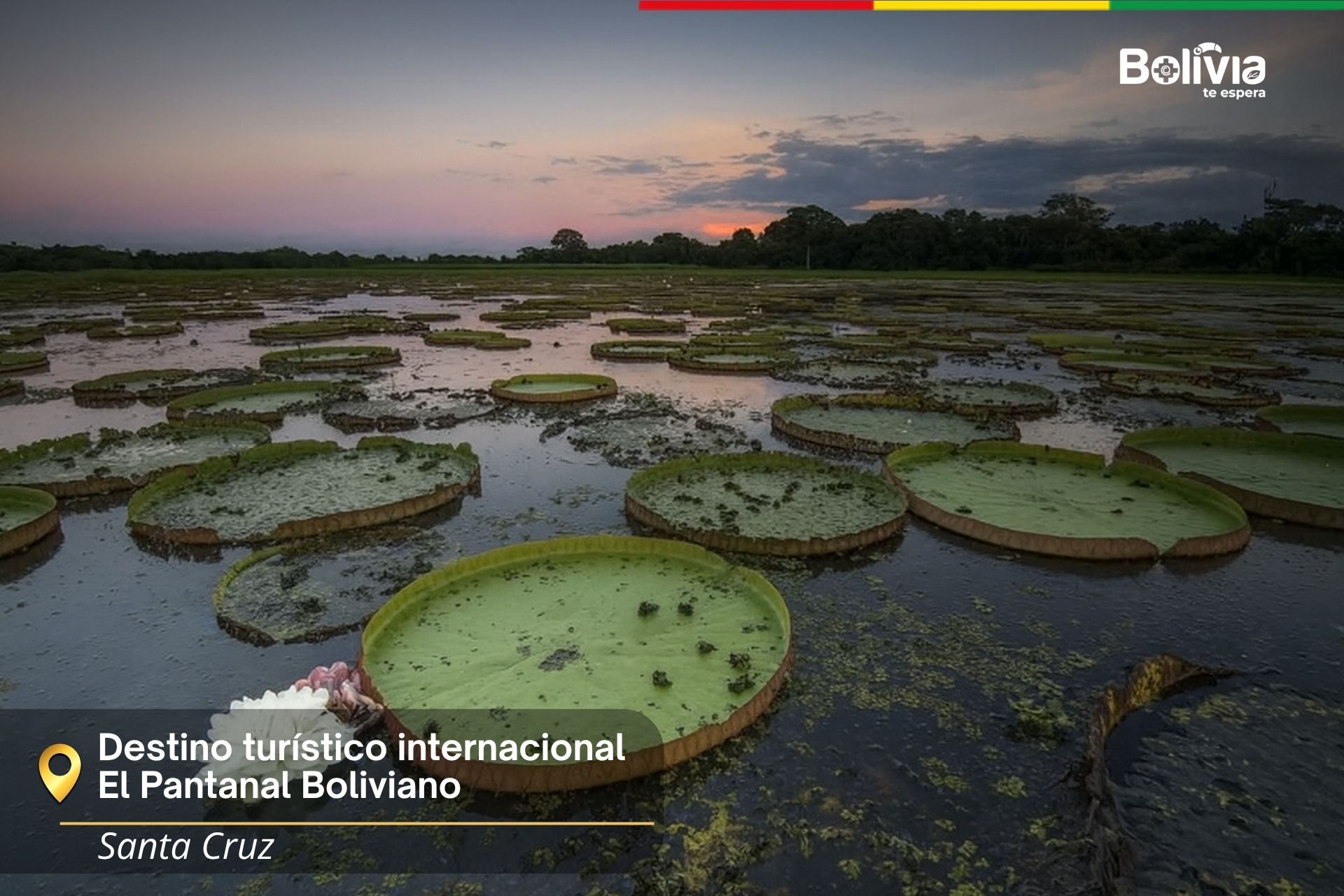 25 Destinos Internacionales